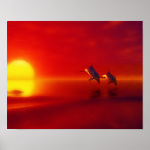 Delphine im Sonnenuntergang Poster