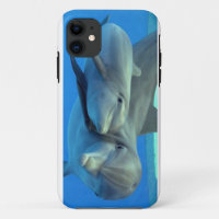 Delphine iPhone Fall