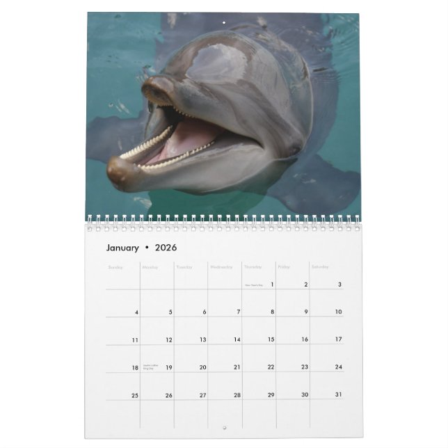 Delphine Kalender (Jan 2026)