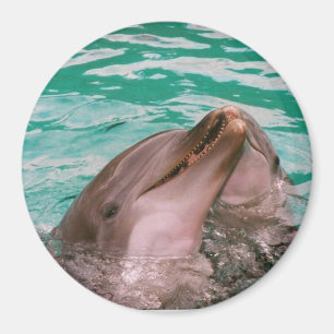 Delphine Magnet