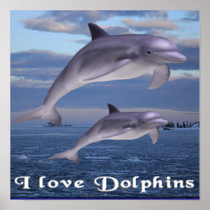 Delphine Poster