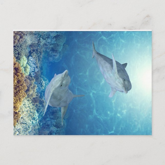 Delphine Postkarte (Vorderseite)