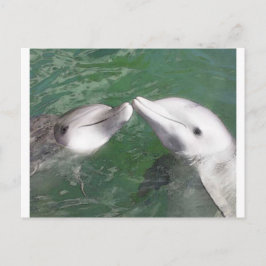 Delphine Postkarte