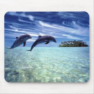 Delphine reichlich mousepad