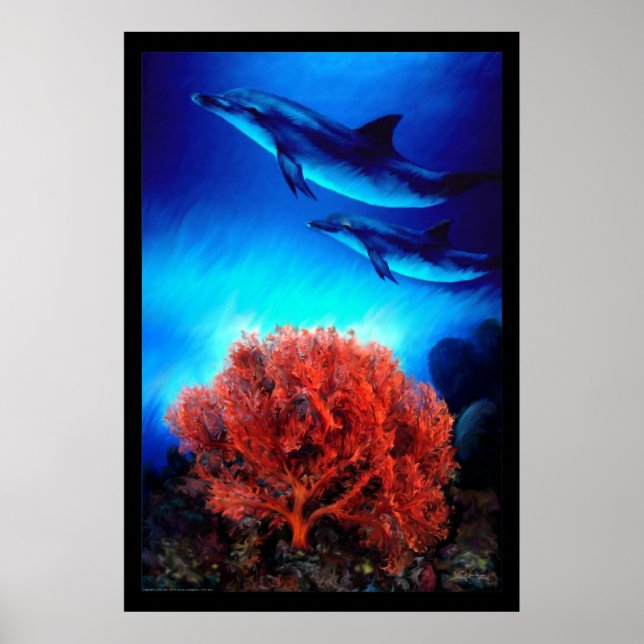 Delphine über Korallen Poster (Vorne)