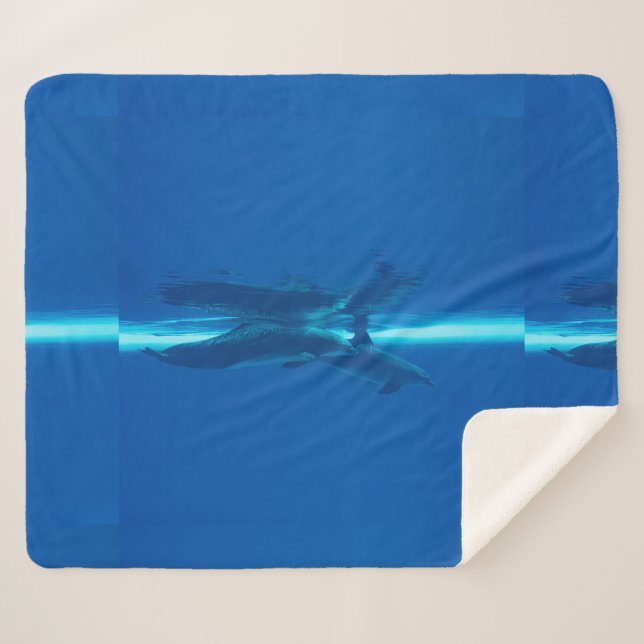 Delphine und Reflexionen Sherpadecke (Vorderseite (Horizontal))