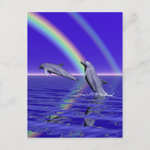 Delphine und Regenbogen Postkarte