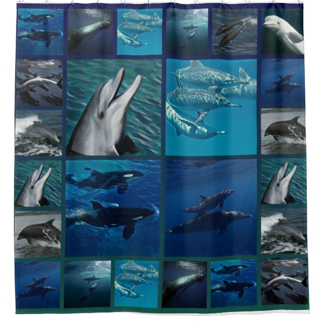 Delphine und Wal-Collage Duschvorhang (Vorderseite)
