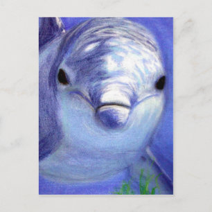 Delphine Zeichnend Blaue Delphin-Unterwasserwelt Postkarte