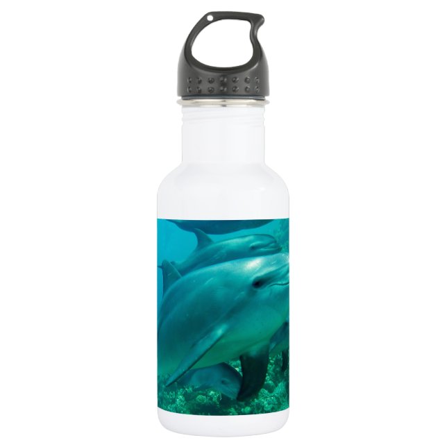 Delphinfisch-Marineozean unter Wasser-Schwimmen Trinkflasche (Vorderseite)