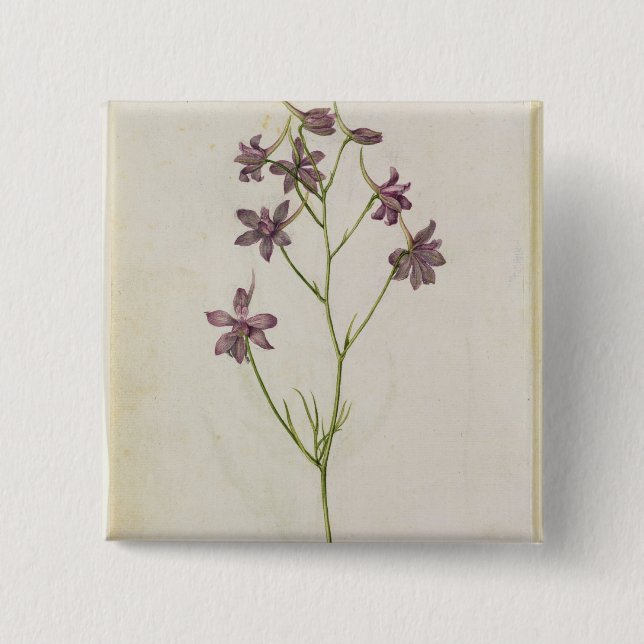 Delphinium ajacis, c.1568 button (Vorderseite)