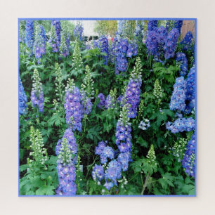 Delphinium belles fleurs bleues puzzle puzzle