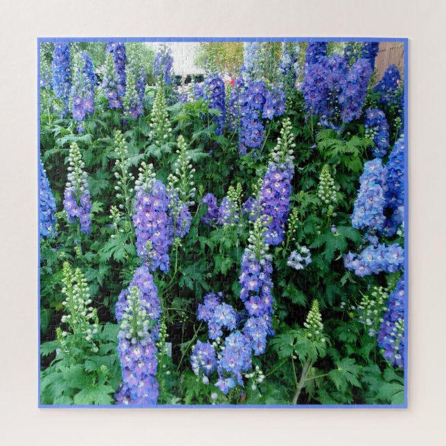 Delphinium belles fleurs bleues puzzle puzzle (Vertical)