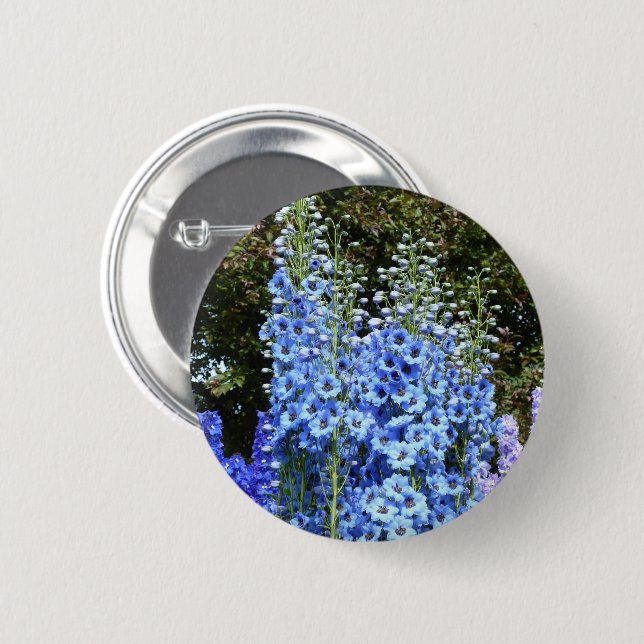 Delphinium Blume Gartengarten Button (Vorne & Hinten)