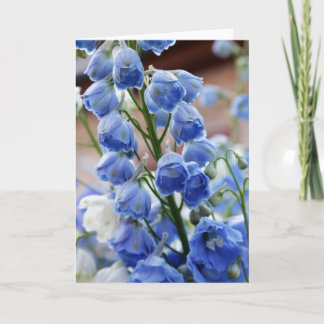 Delphinium-Blumen-Gruß-Karte Karte