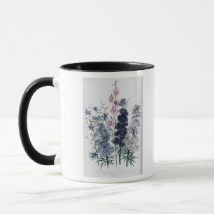 Delphiniums, "von die Damen-" der Blume Garden Tasse