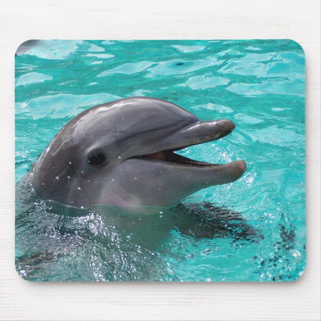 Delphinkopf im Aquamarinewasser Mousepad (Vorne)
