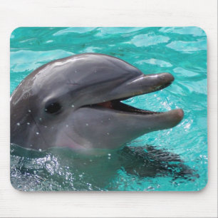 Delphinkopf im Aquamarinewasser Mousepad