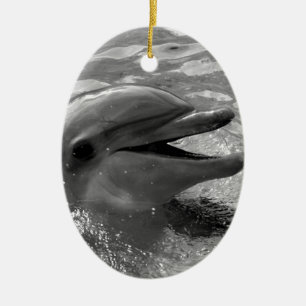 Delphinkopf in Wassermund offenem Schwarzweiss Keramikornament