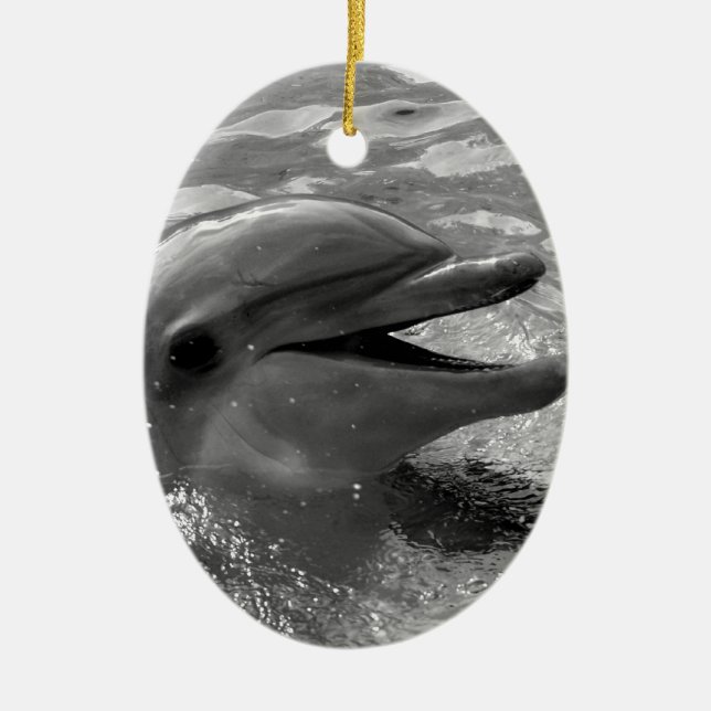 Delphinkopf in Wassermund offenem Schwarzweiss Keramikornament (Vorne)