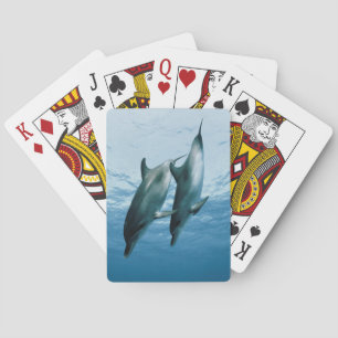 Delphinpaare Spielkarten