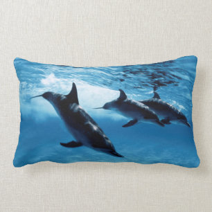Delphintrio Lendenkissen