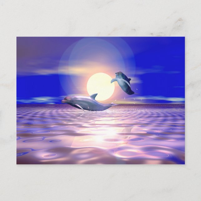 Delphinumleitung - Zwei Delphine springen Postkarte (Vorderseite)