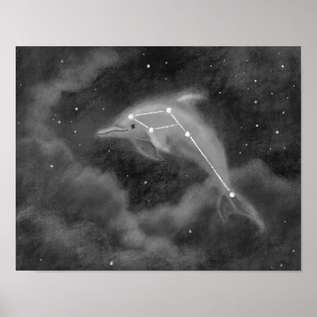 Delphinus Constellation Dolphin Poster (Vorne)