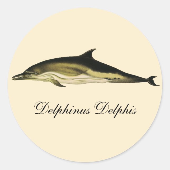 Delphinus Delphis, Vintage Meeressäugetiere Runder Aufkleber (Vorderseite)