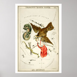 Delphinus Sternbild Kunstdruck Antik Poster