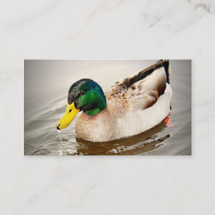 Deltakonserven-Visitenkarte Visitenkarte