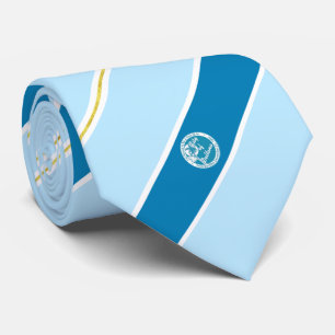 Deltona (Florida) Stadtflagge Neck Tie Krawatte