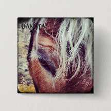Deluxe Ausgaben-Knopf Dakotas
