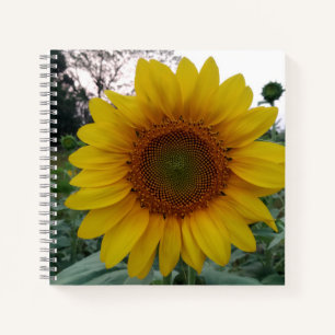 Deluxe-Spiralblock 8,5x8,5 mit Sonnenblumen-Kunst Notizbuch