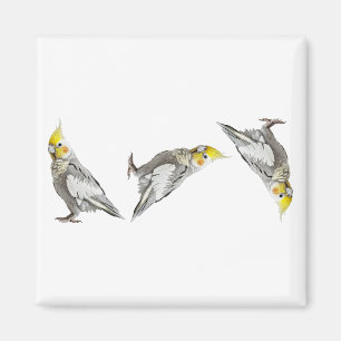 Dem Vogel den Finger zeigen Nymphensittich Lustige Magnet