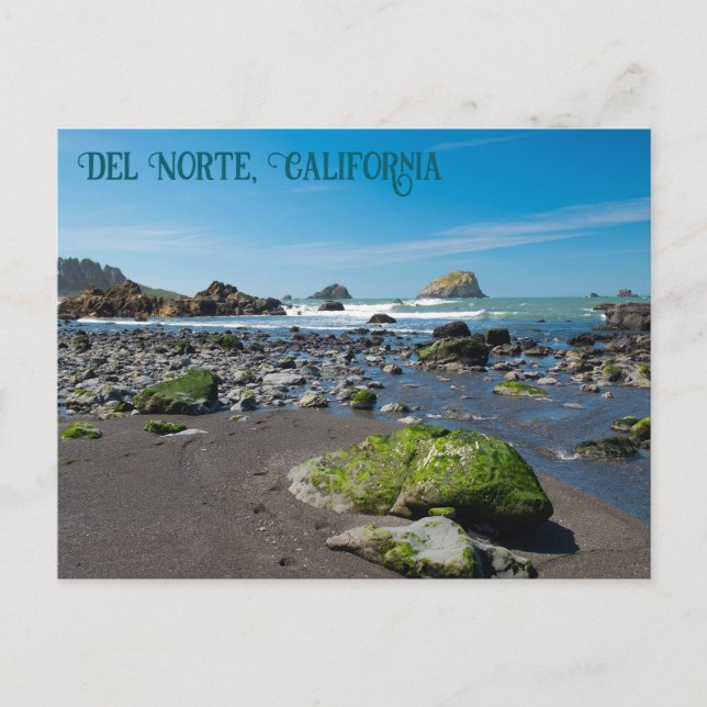 DeMartin Beach Del Norte California Postkarte (Vorderseite)
