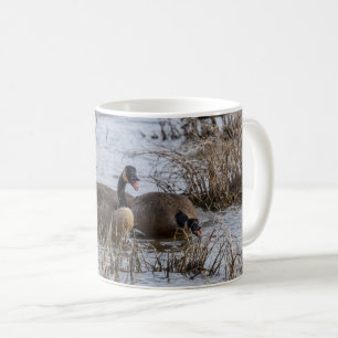 Déménager Dans La Mug De Café