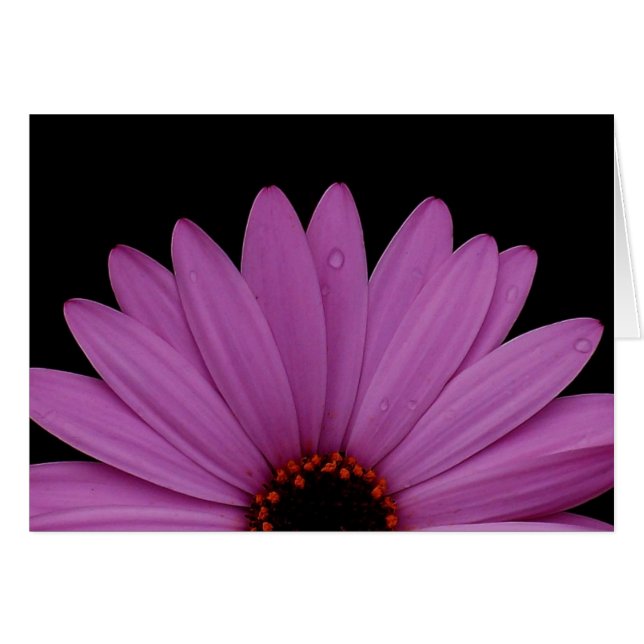 Demi-marguerite (Devant horizontal)