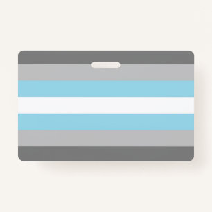 DemiBoy Flag Ausweis
