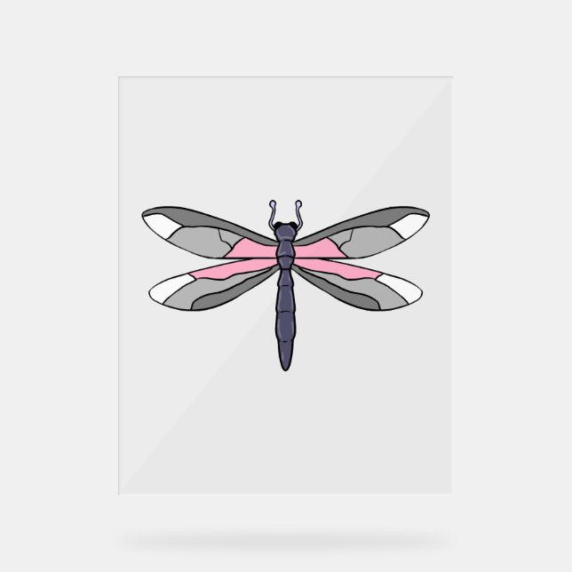 Demigirl Dragonfly Demigirl Pride Acrylschild (Vorderseite)