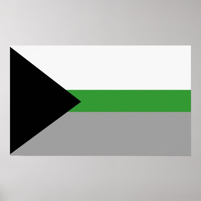 Demiromantischer Stolz Poster (Vorne)