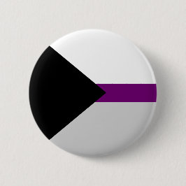 Demisexual Pride Flag LGBT Pride Button