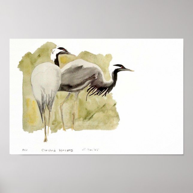 Demoiselle Cranes Poster (Vorne)