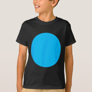 Demokratischer blauer Punkt für Nebraska oder Haup T-Shirt