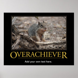 Demotivational Plakat: Erfolgsmensch Poster