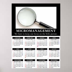 Demotivational Wandkalender 2013: Micromanagement Poster