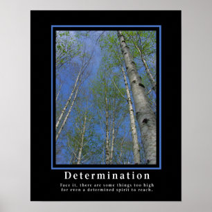 Demotivationale Poster ... Entschlossenheit