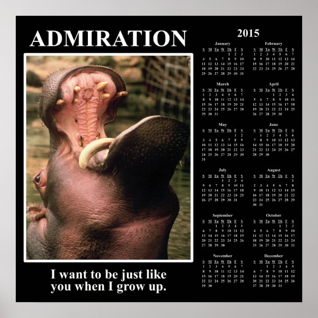 Demotivationaler Mauerkalender 2015: Ich bewundere Poster (Vorne)