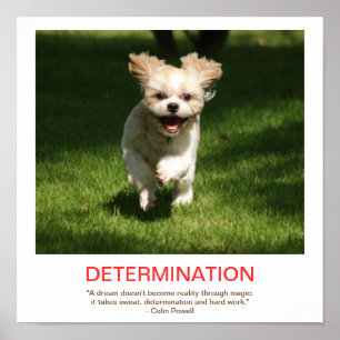 Demotivationspaket der Entschlossenheit Poster
