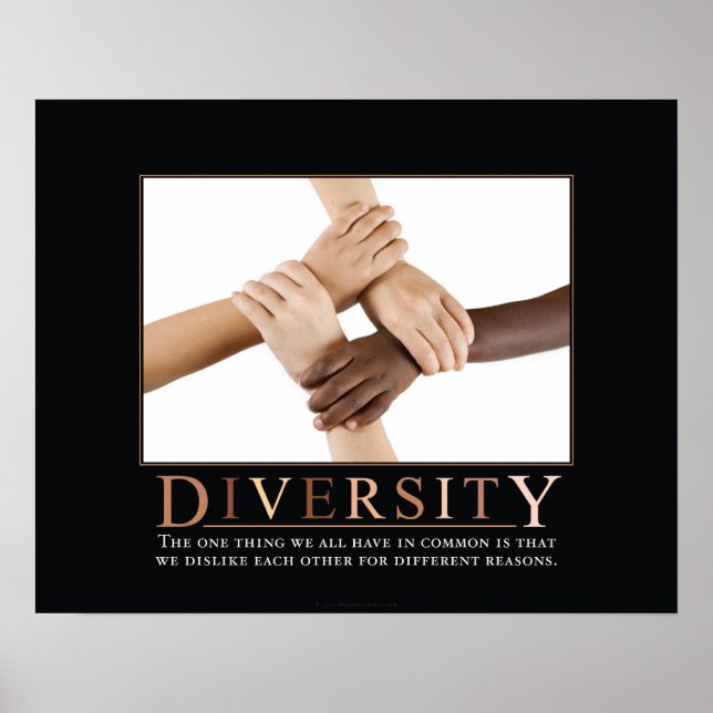 Demotivationspaket für Diversity Poster (Vorne)